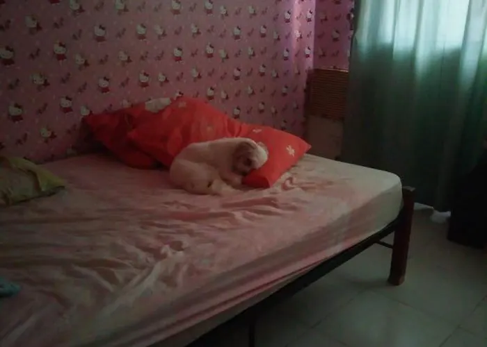 Apartamento Hana *